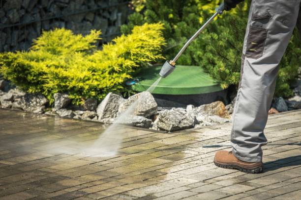 Best Pool Deck Cleaning  in Lake Holiday, VA